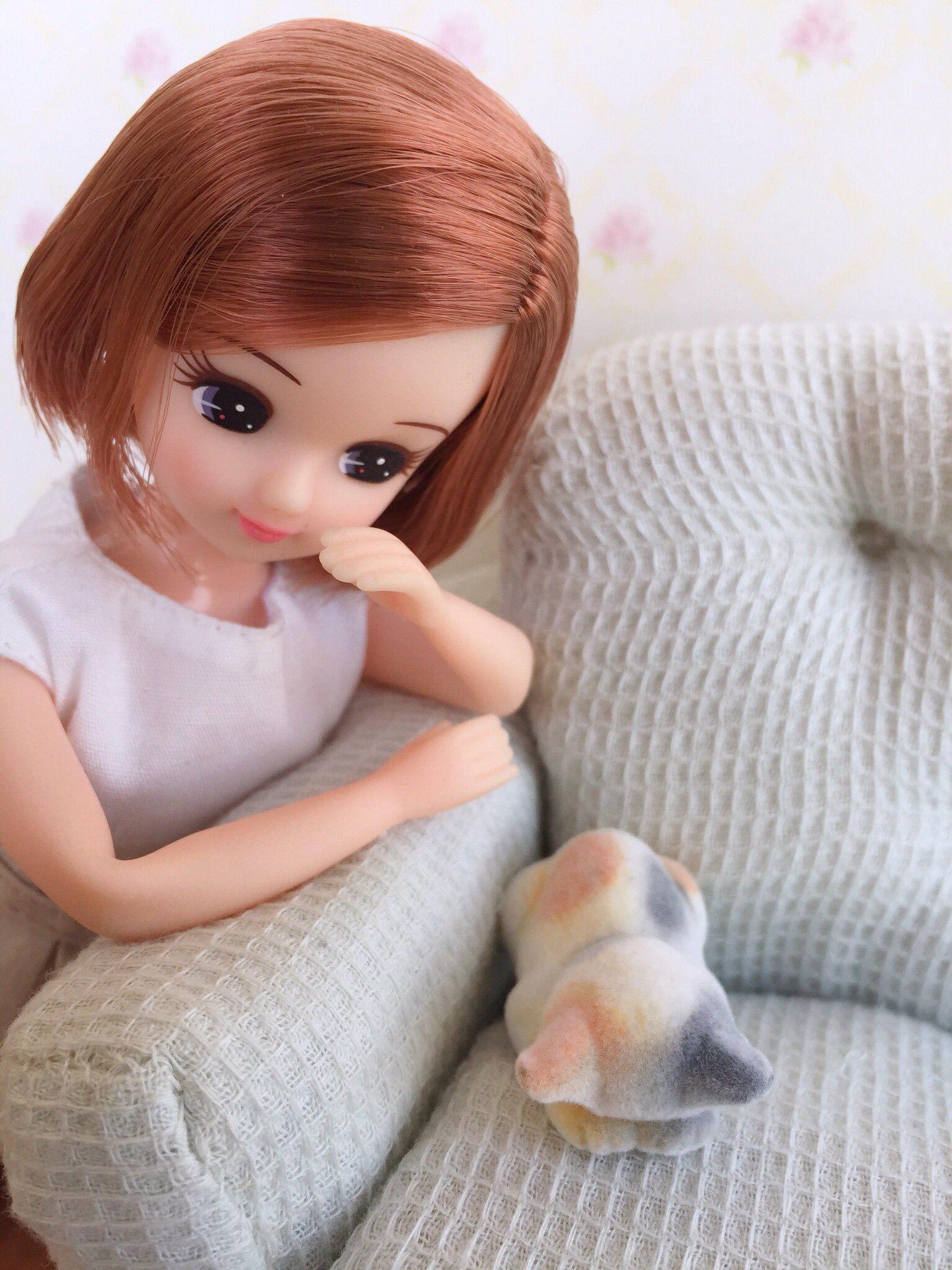 リカちゃん ポストペット 限定 レア モモリカ