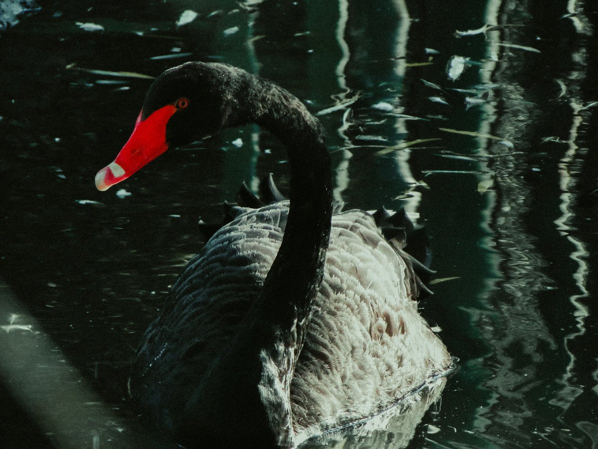 Yankovskaya Mariya (@MYankovskaia) | Twitter