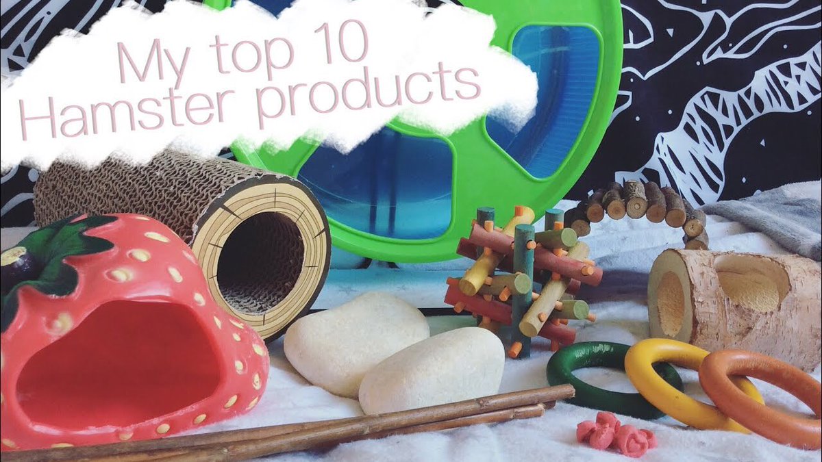 amy_and_animals's tweet photo. Have you seen my latest video just up on YouTube now?
Top 10 hamster products!
 https://t.co/72cc8s0qUH https://t.co/jUz2Z1LKDr