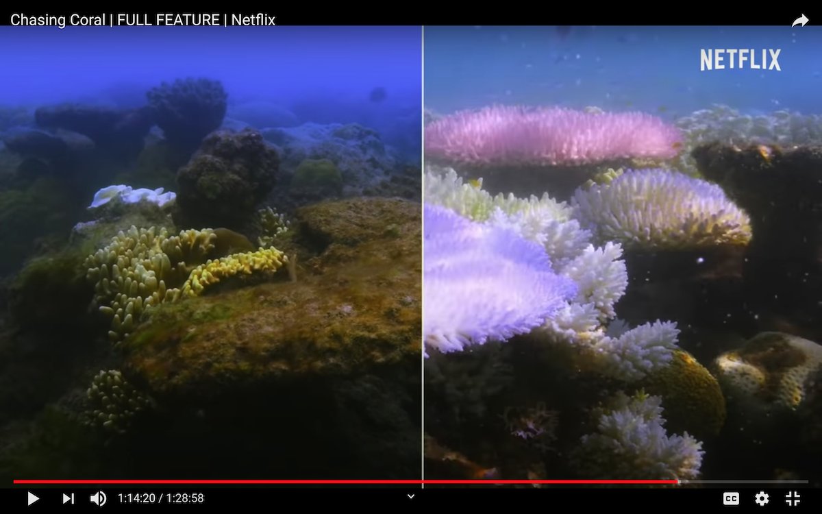 MakerBay tweet media