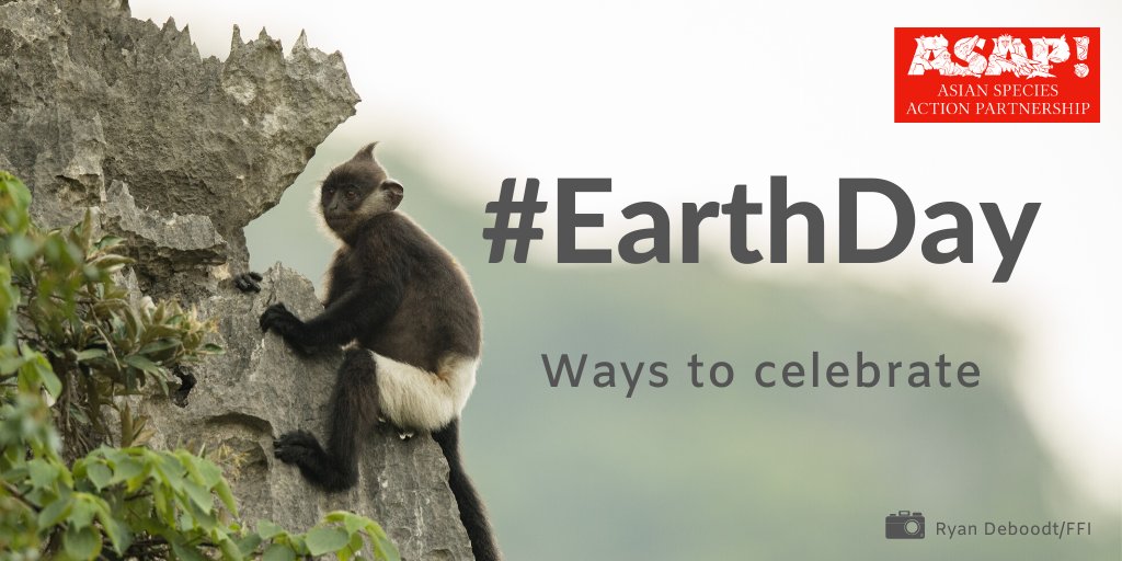 IUCN_ASAP's tweet photo. Tomorrow is #EarthDay! Do you need ideas for how you can celebrate our planet and its wildlife at home? Here's a thread of some we've found, but do reply with your own!🌏 https://t.co/olfdpBe1ih