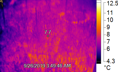ExperimentMerit's tweet photo. During one of his regular maintenance visits to the experiment, our colleague @jimonjimonster recently took these snapshots of an ambient control and a +3 heated plot in the low marsh 🌡️📸! @UHHMIN https://t.co/cFvmSNigm4
