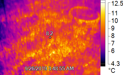 ExperimentMerit's tweet photo. During one of his regular maintenance visits to the experiment, our colleague @jimonjimonster recently took these snapshots of an ambient control and a +3 heated plot in the low marsh 🌡️📸! @UHHMIN https://t.co/cFvmSNigm4