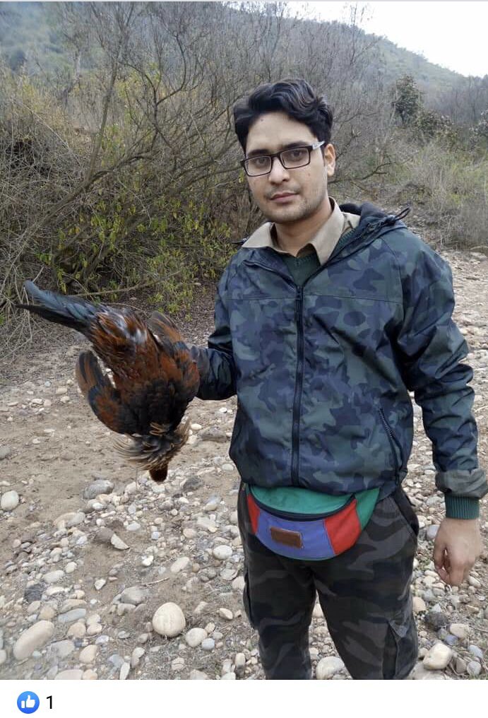Red Jungle Fowl is so rare,1st ever official sighting wasn’t recorded until 2010.Please spare some time from your busy schedule to wake up the departments responsible,as at the moment poachers are left free to hunt anything they fancy with pheasants,jungle fowl,leopards,reptiles