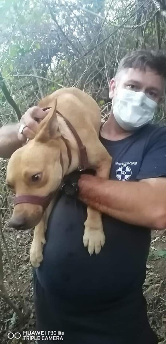 SPCA LOWER SOUTH COAST tweet media