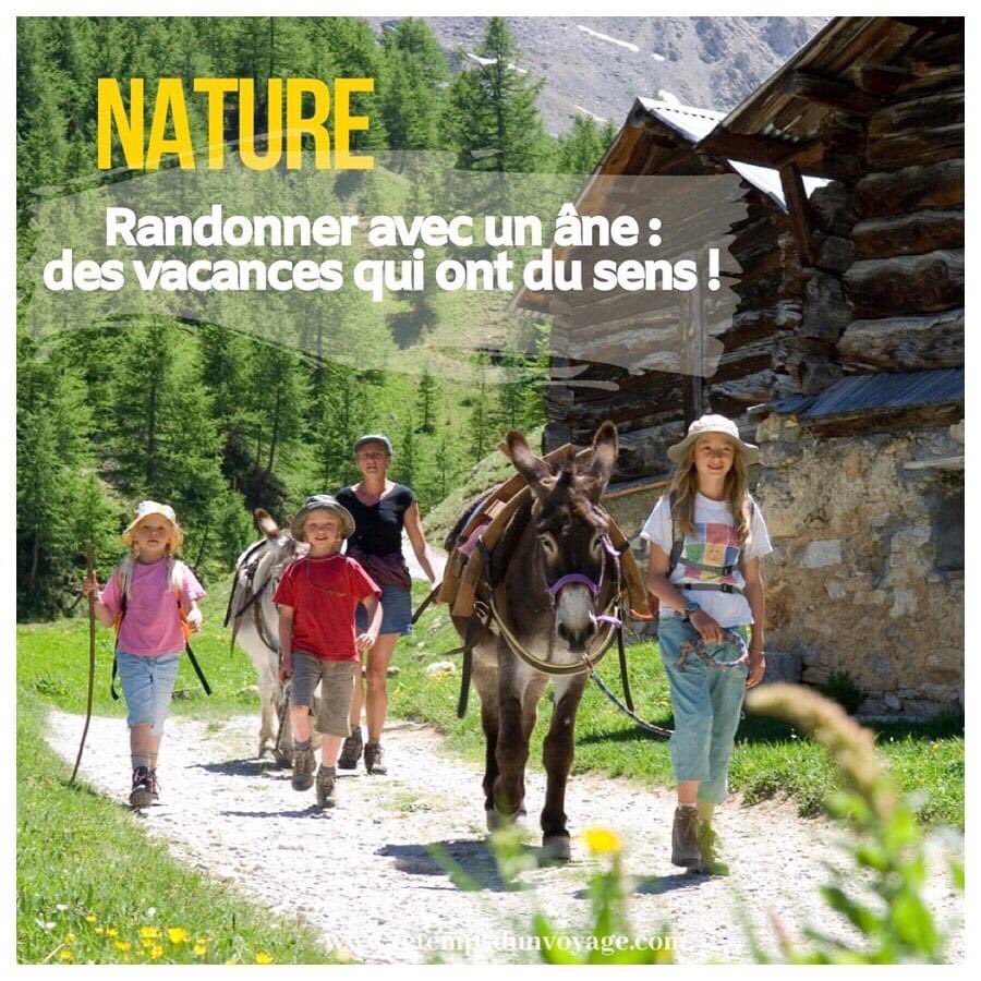 LTDV_'s tweet photo. •Échappée Nature•

Envie de sortir des sentiers battus et de vous reconnecter à la nature ? Partez en randonnée avec… un âne ! Seul, en famille ou entre amis, pour un jour ou le temps d’un week-end voire d’une semaine.
https://t.co/OJinn07aRv
#anes #randonnee #EchappeesBelles https://t.co/F9QGLwH9tj