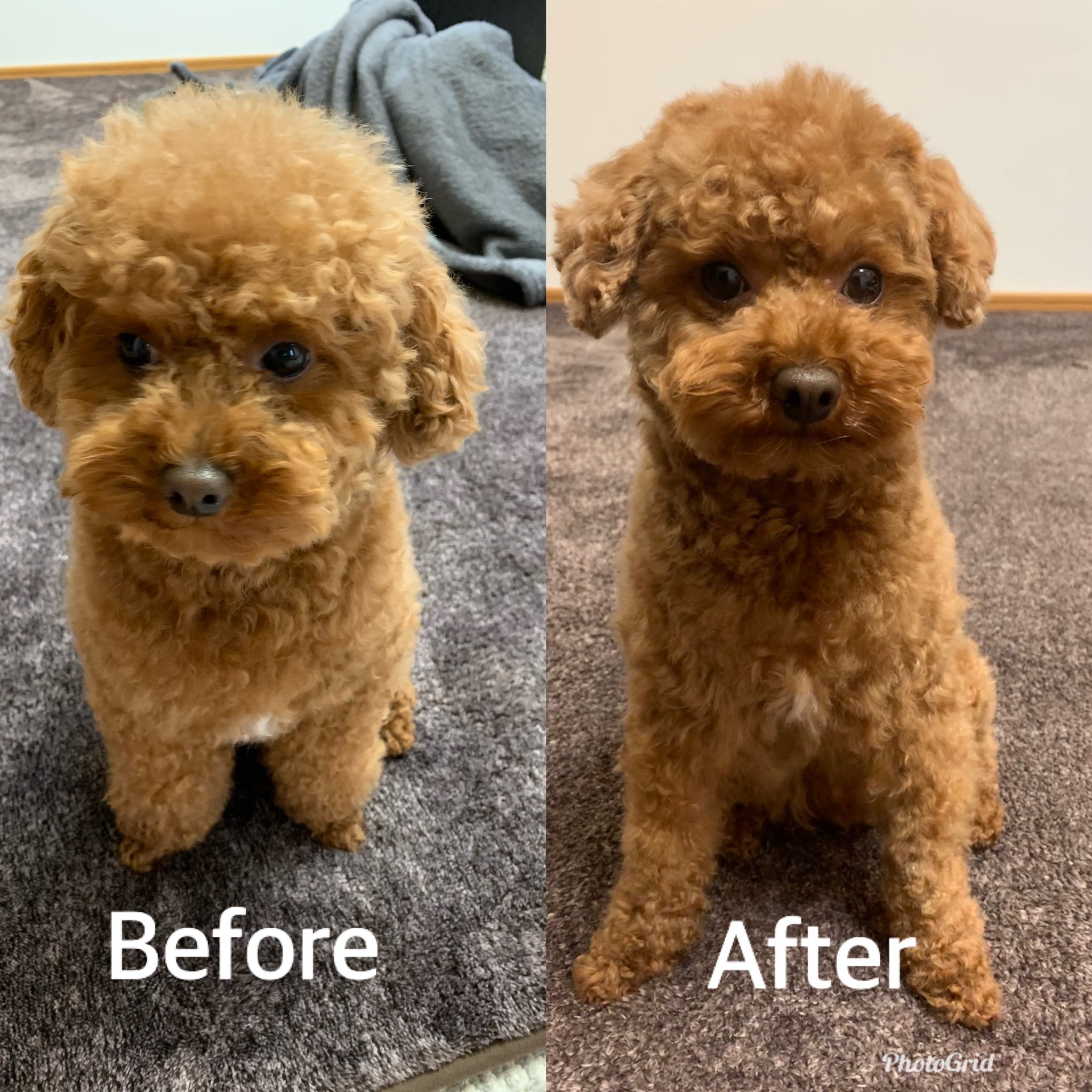 トリミング失敗 Twitter Search Twitter