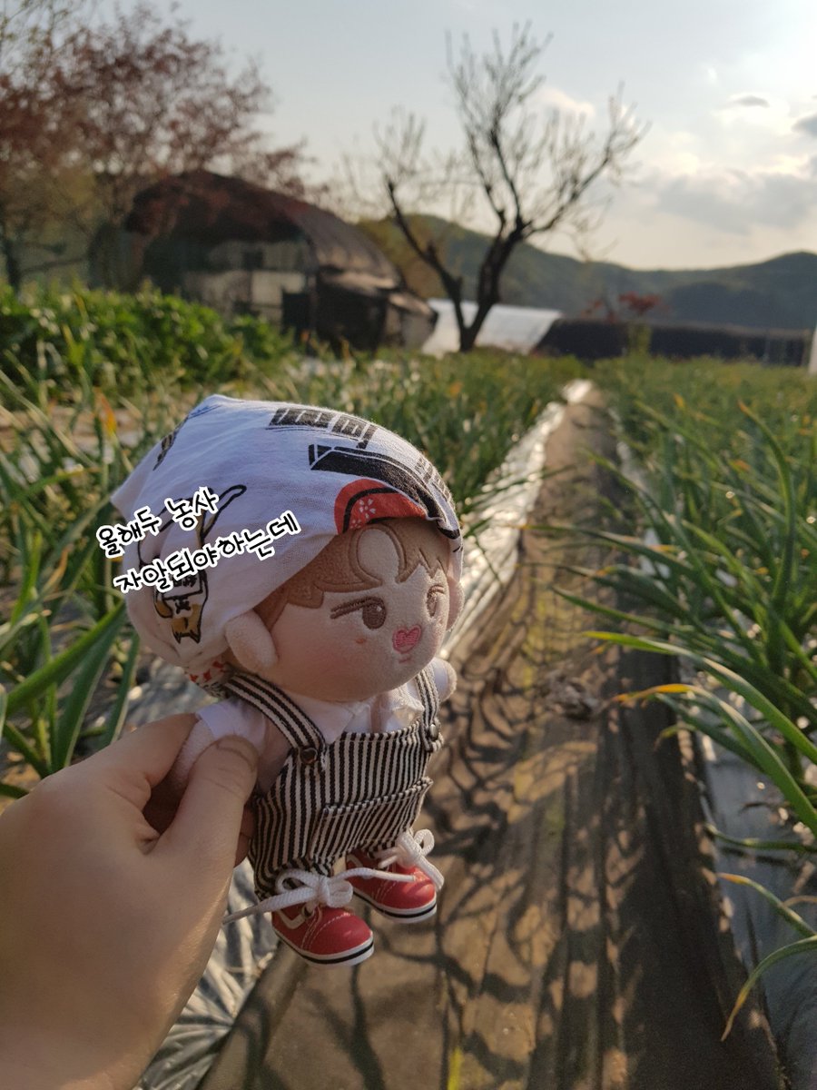 ??:  봄이라서 아직 농작물은 안나왔고,두릅,취나물이 제철이여. "뽑아."
.
#꿀기우니