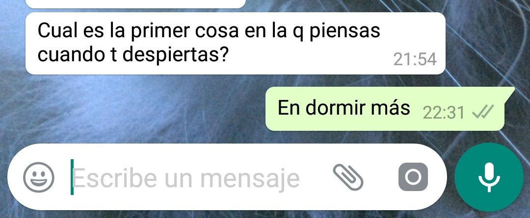 lloromucho's tweet photo. https://t.co/OxlvRnIGcA