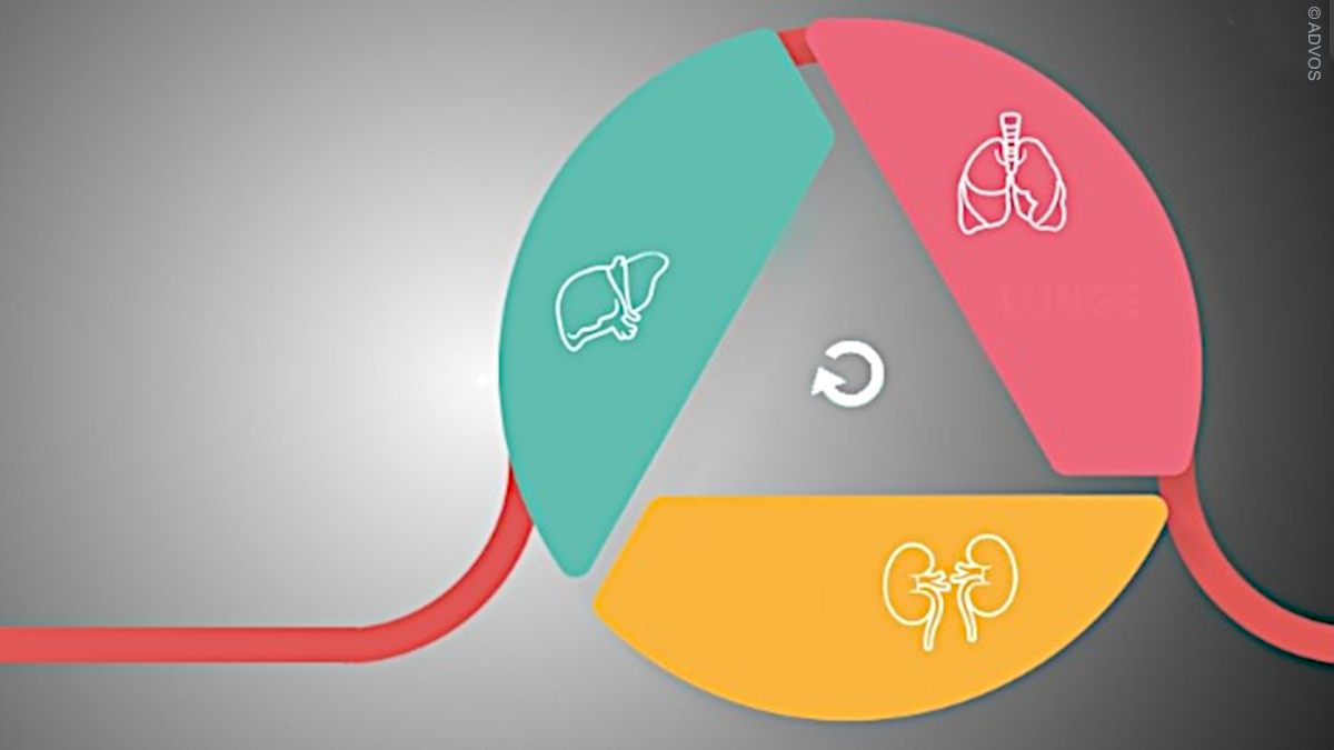 BayFOR's tweet photo. #ADVITOS' product #ADVOS (ADVanced Organ Support) also helps #COVID19 patients! 🏥  It offers multi organ support (lung, liver, kidney) integrated in one single device. 👉🏾https://t.co/4ej6jyvj9A We successfully supported the #SME in applying for @EUeic funding.💸 #EENCanHelp https://t.co/wZIgXmQGIu