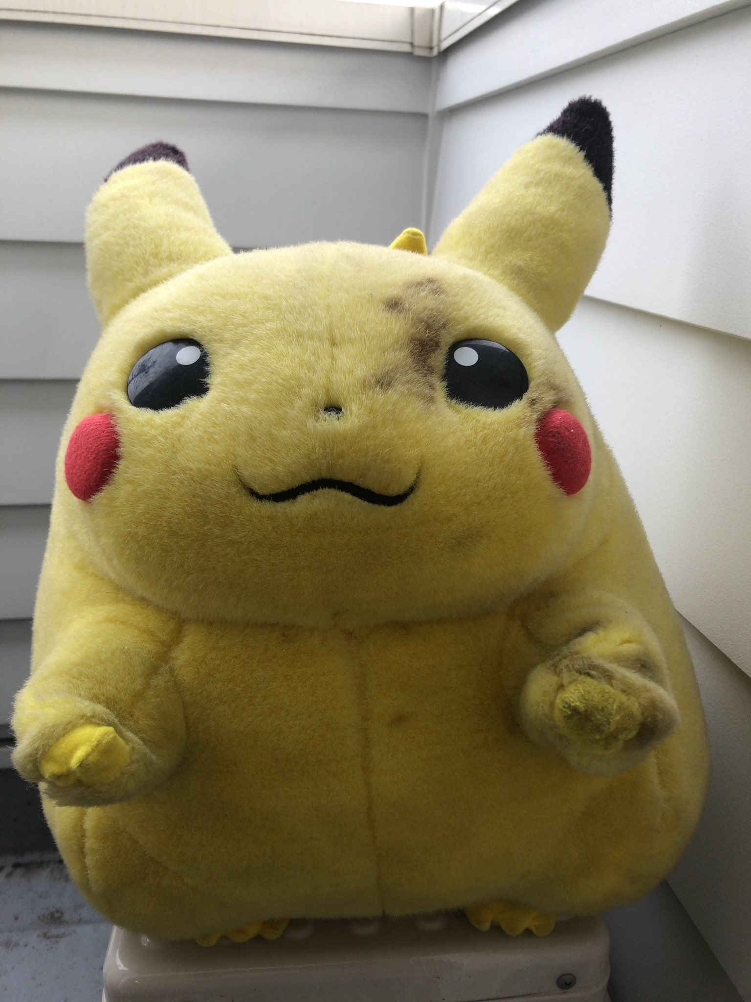 Twitter এ 六平太 Wpsodoru Cm ぬいぐるみピカチュウ1 1 1997年 T Co 6pjoiy9pvc Youtubeさんから ポケモンアニメ 初代 が始まって少しした頃に発売された商品です ট ইট র