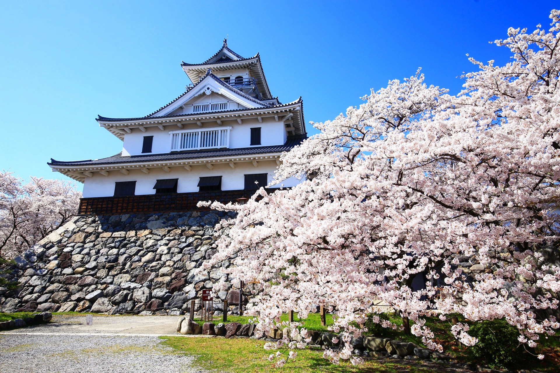 See Kyotomoyou S Tweet On Apr 21 Twitter See Kyotomoyou S Tweet On Apr 21 Twitter