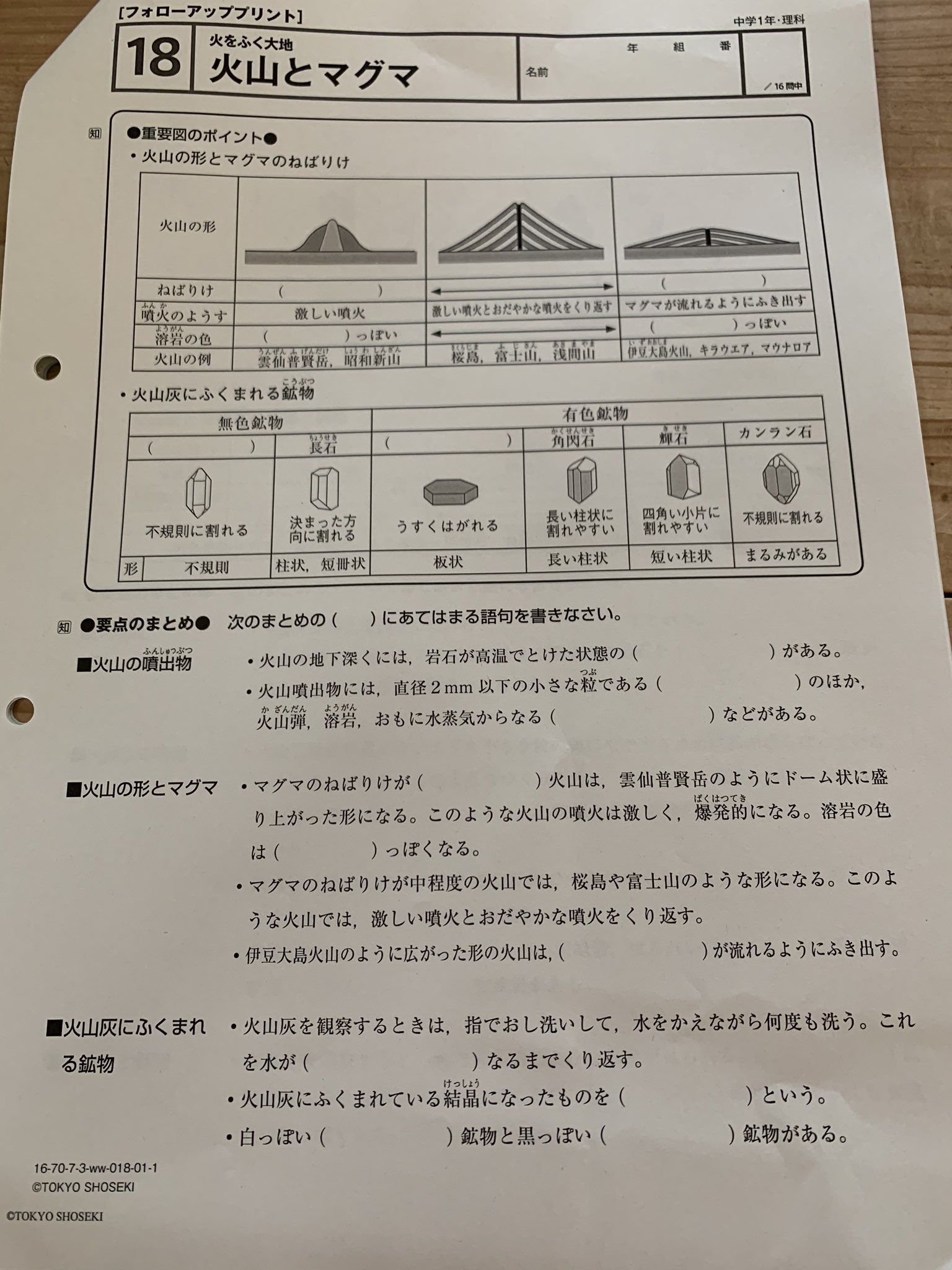 中1理科 中1理科｜葉一の授業メニューと無料プリント【19ch】
