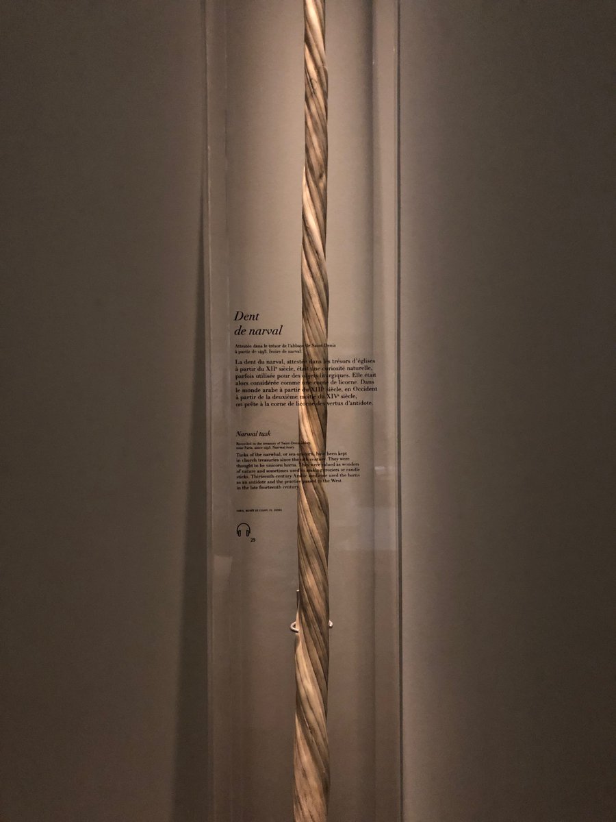 Narwhal tusk at  @museecluny. Records place it in the treasury of the abbey of of St-Denis, just outside Paris, in 1495.
