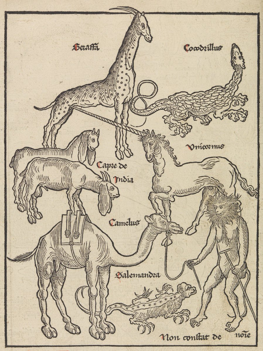 Bernhard von Breydenbach’s Peregrinatio in terram sanctam (Mainz, 1498) contains this woodcut of some of the animals B saw on his trek to Jerusalem – more for our bestiary.  @metmuseum