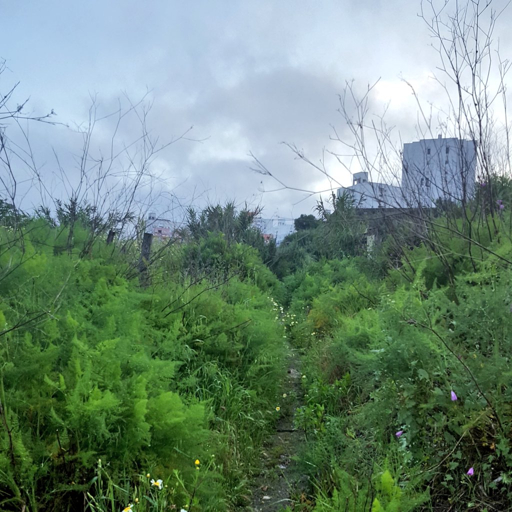 simon_explorer's tweet photo. Still fighting with those shin splints 😑

One time it's there the other time not. Well at least i can still do my #MorningRuns, just need to adapt the length every time depending how my shin feels. https://t.co/EmwilZj7Wl
