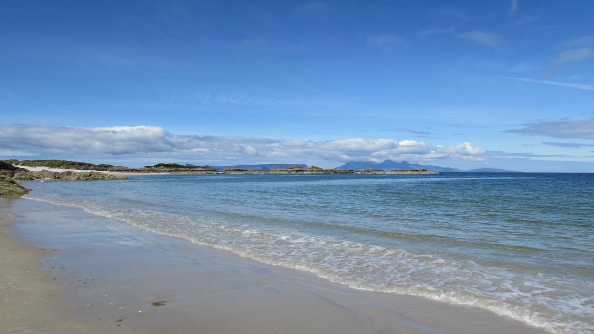 manonabeach tweet media