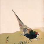 main image of this resource