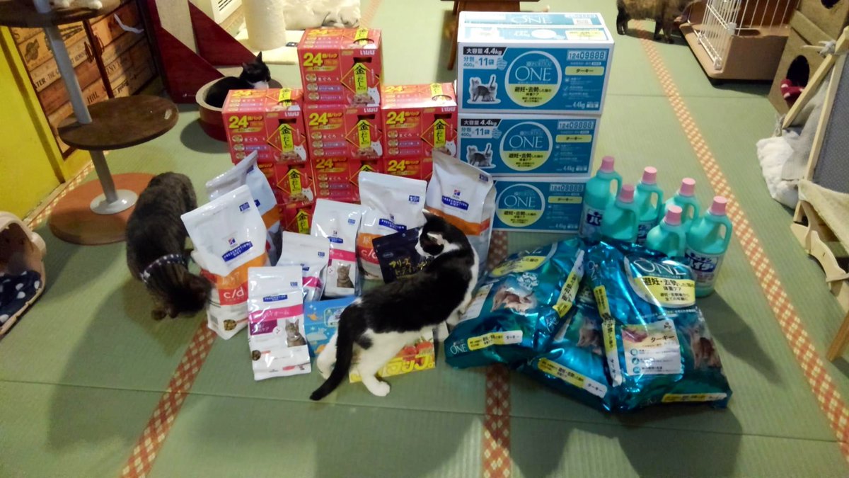 保護猫カフェ ネコリパブリック東京お茶の水店 Twitterissa 全国から支援物資が届いています 休業中でも猫達のお世話は休むわけにはいかず これらの物資が必要不可欠となります ご支援ありがとうございます T Co L3uv6gcwc1 保護猫カフェ 猫カフェ