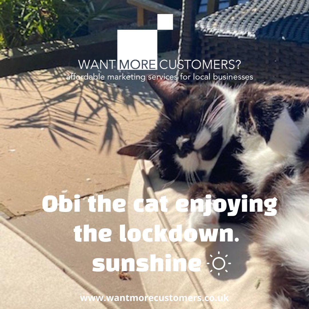 I have been working in the garden enjoying the lockdown sunshine.  My cat Obi decided he wanted to 'work' in the garden too! Hmmmm!  🤔🐈🌷🌼🌸☀️#spring2020 #covid19 #lockdownsunshine #obithecat #freelancemarketing #perksofthejob #staysafe