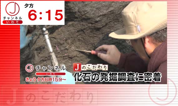 フェザン Twitter Search