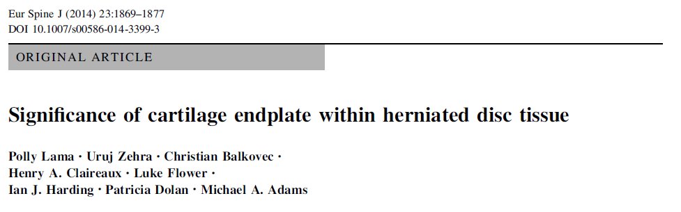 A similar article was published in 2014  https://www.ncbi.nlm.nih.gov/pubmed/24947181 The herniation was removed surgically from 21 patients. Cartilage fragments in 10/21 specimens, on average 5 mm in length, comprised 25 % of the herniation area, and 2 had some bone attached.