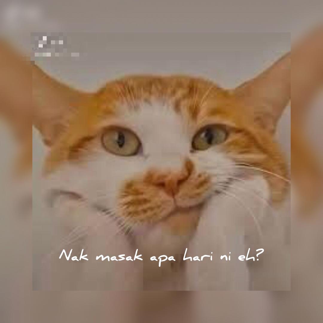 SantaiSini's tweet photo. Brg dapur dah hbs tpiii ni je yg ada skrg ni πΉπ€£ Patut ke x sis masak ni? π
#SantaiSini #GaiaHidup
#PalingComel #KucingComel #PKP #Covid19 #DewiRemaja #BendaViral https://t.co/MAihuDFMvk