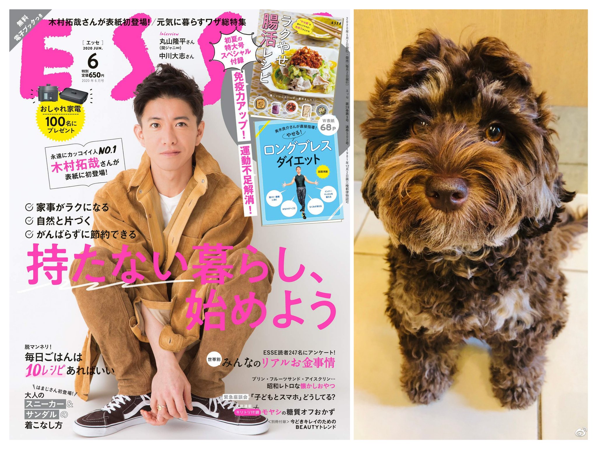 恍惚的猫 C C Pa Twitter Esse表纸 木村拓哉 犬系男友 可爱爆棚