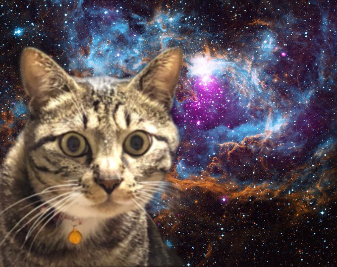 スペキャのtwitterイラスト検索結果 古い順