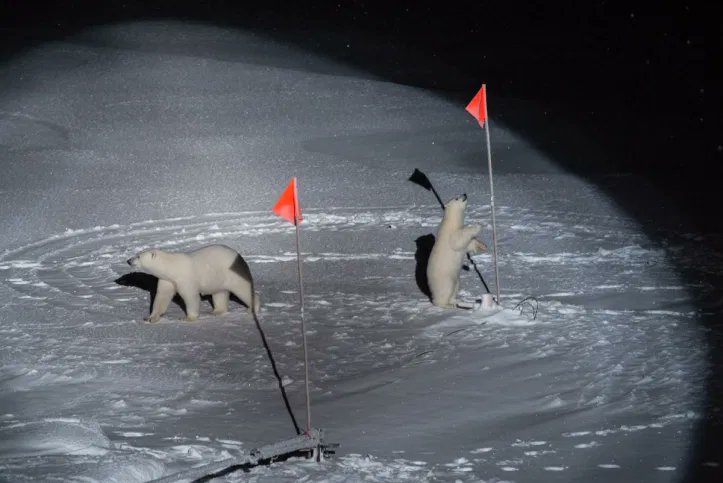 Esther Horvath vom Alfred-Wegener-Institut für Polar- und Meeresforschung in #Bremerhaven gewinnt den World Press Photo Award. Wir gratulieren ganz herzlich. <a href="/AWI_de/">AWI Medien</a> #pierderwissenschaft #eisbären #MOSAiC-Expedition