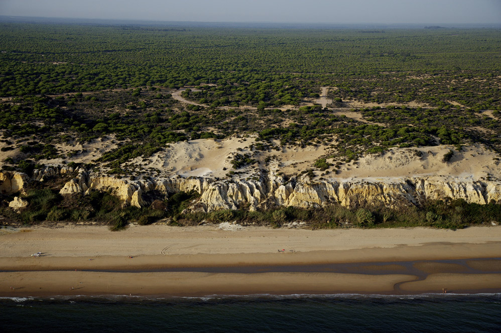 El litoral andaluz sigue estando a buen recaudo gracias al Plan de Conservación de Especies de Dunas, Arenales y Acantilados Costeros, que recogió el testigo de LIFE Conhabit Andalucía, tras su finalización a mediados de 2019. #habitatslitorales #lifeconhabit #plandedunas