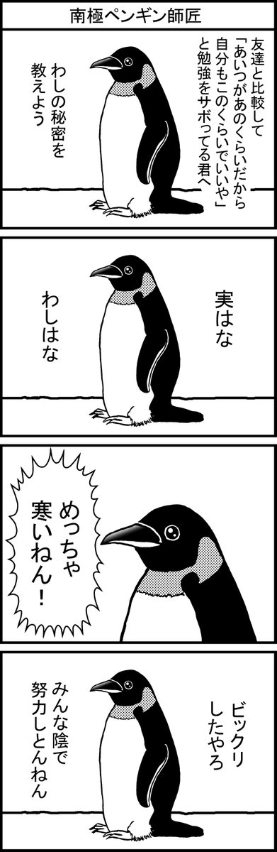 三つ星猫ごはん على تويتر 自分への戒め 努力 勉強 ペンギン 漫画 4コマ マンガ 三つ星猫ごはん على تويتر 自分への戒め 努力 勉強 ペンギン 漫画 4コマ マンガ