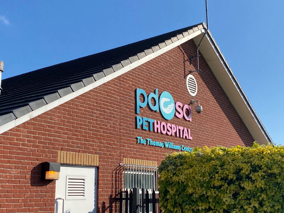 plhmedical's tweet photo. Back at it this morning providing critical supplies to practices. We want to ensure that all practices are able to provide their continual level of care to their patients no matter the distance! @VetsNowUK @PDSA_HQ - https://t.co/MLjuvxTiLh https://t.co/nY2buPvcWd