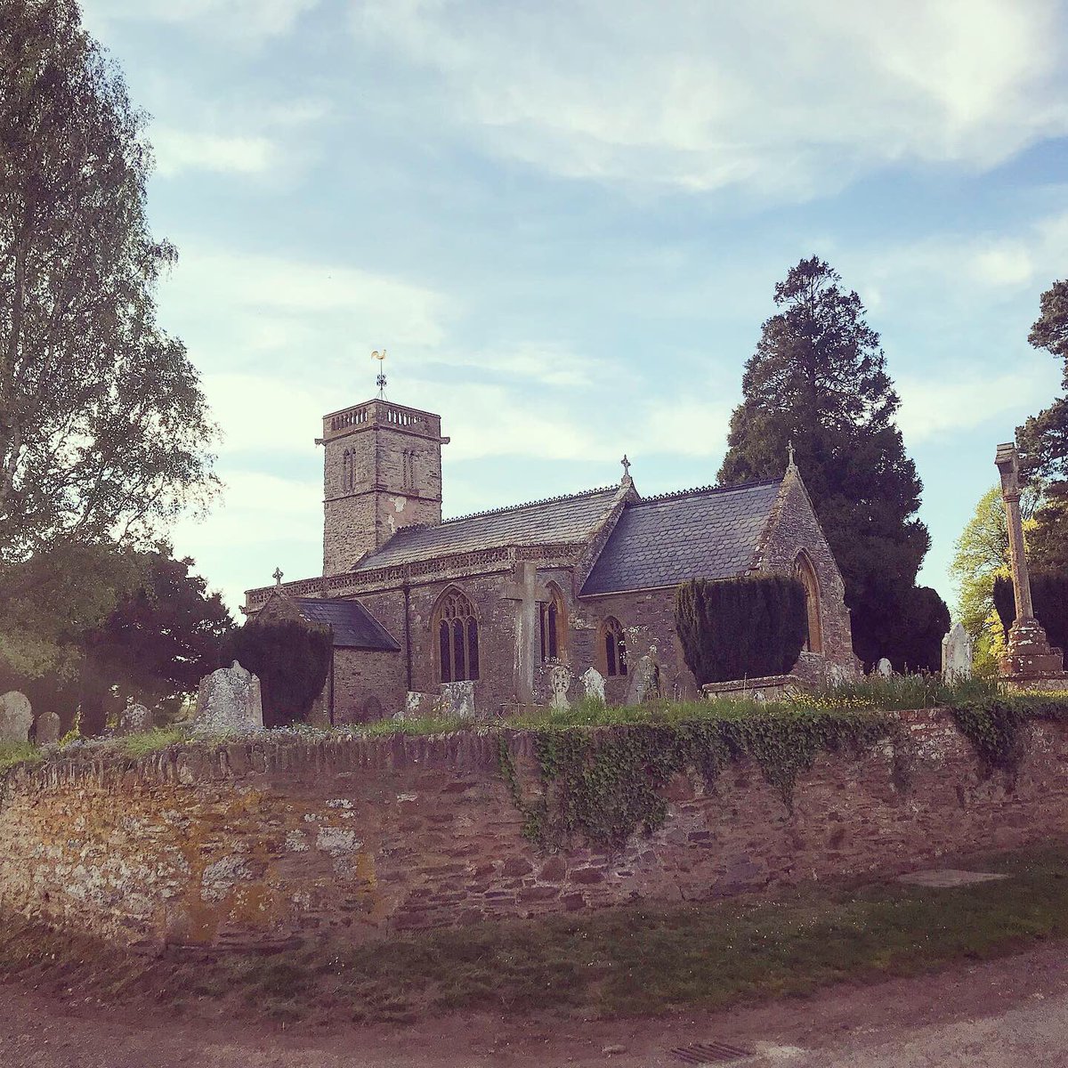 EJM1978's tweet photo. Day 35- had cont’d ‘meh’ feeling. ‘Staff’ skiving & surreal crazy of it all played on mind. Grateful to step outside door & plod countryside. Blasted old school dance tunes. Great memories. Mental kicking given! #coronagate #nocatsforachange #mindreset #nature #isolationexercise https://t.co/wGM1bArzcd