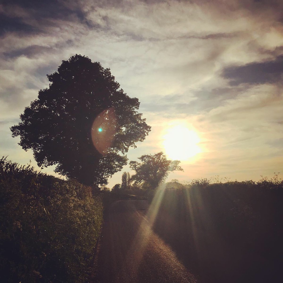 EJM1978's tweet photo. Day 35- had cont’d ‘meh’ feeling. ‘Staff’ skiving & surreal crazy of it all played on mind. Grateful to step outside door & plod countryside. Blasted old school dance tunes. Great memories. Mental kicking given! #coronagate #nocatsforachange #mindreset #nature #isolationexercise https://t.co/wGM1bArzcd