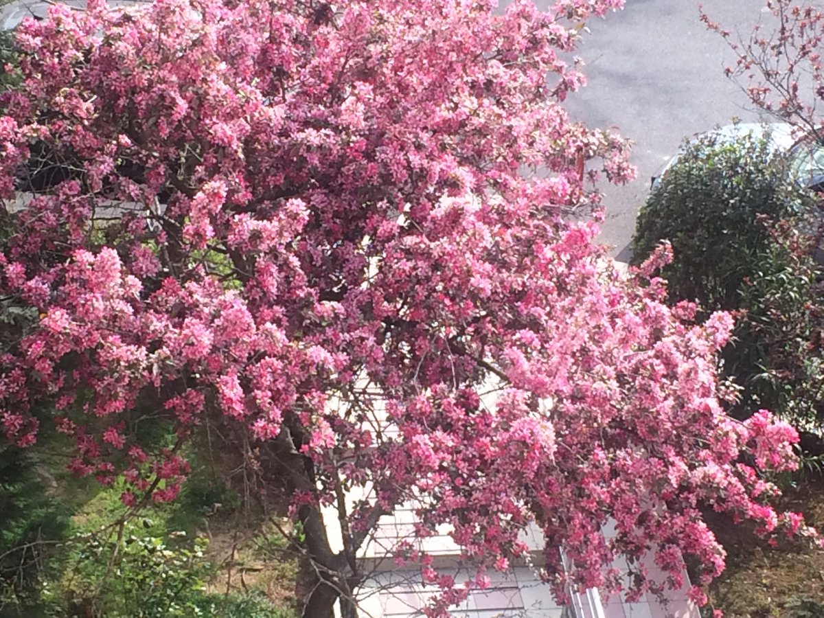 Günaydınlar