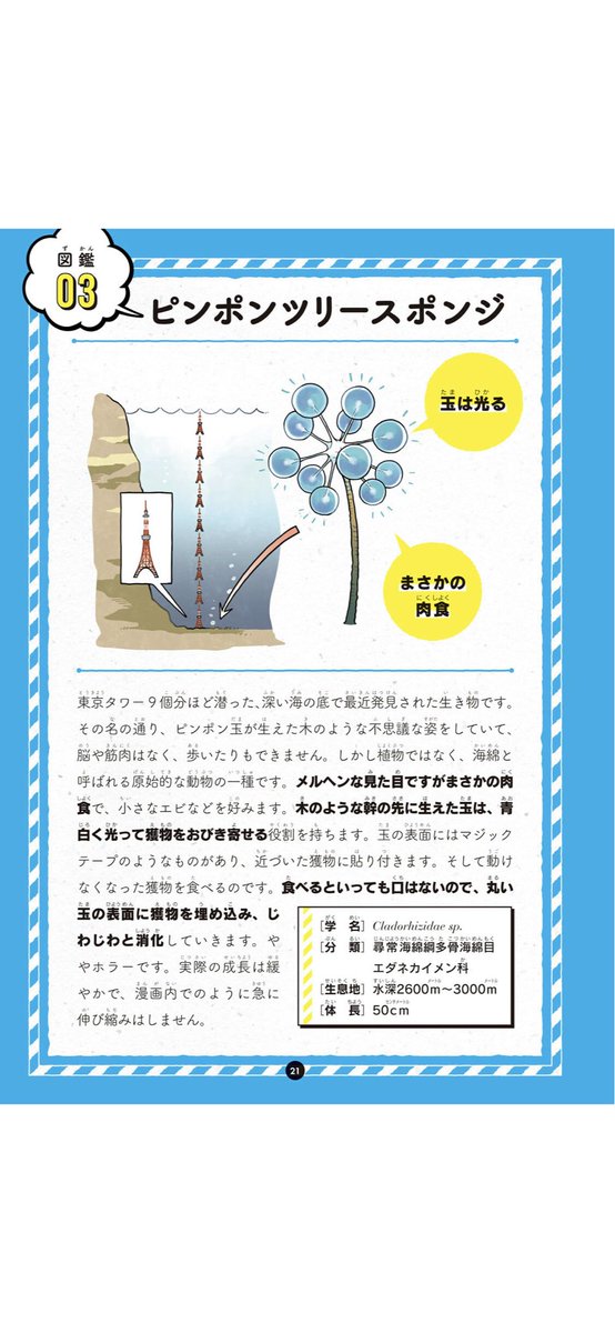 漫画なのに各章に図鑑がつく不思議な本なんですが、カラー版は図鑑もカラーです。 