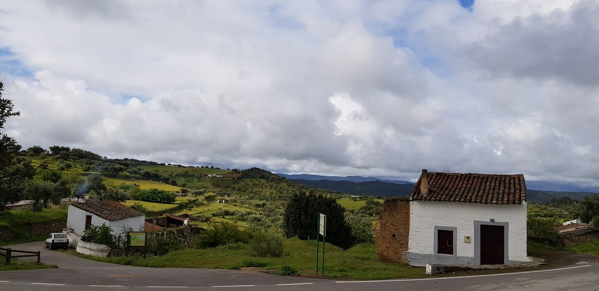 Francisco Sanchez  tweet media