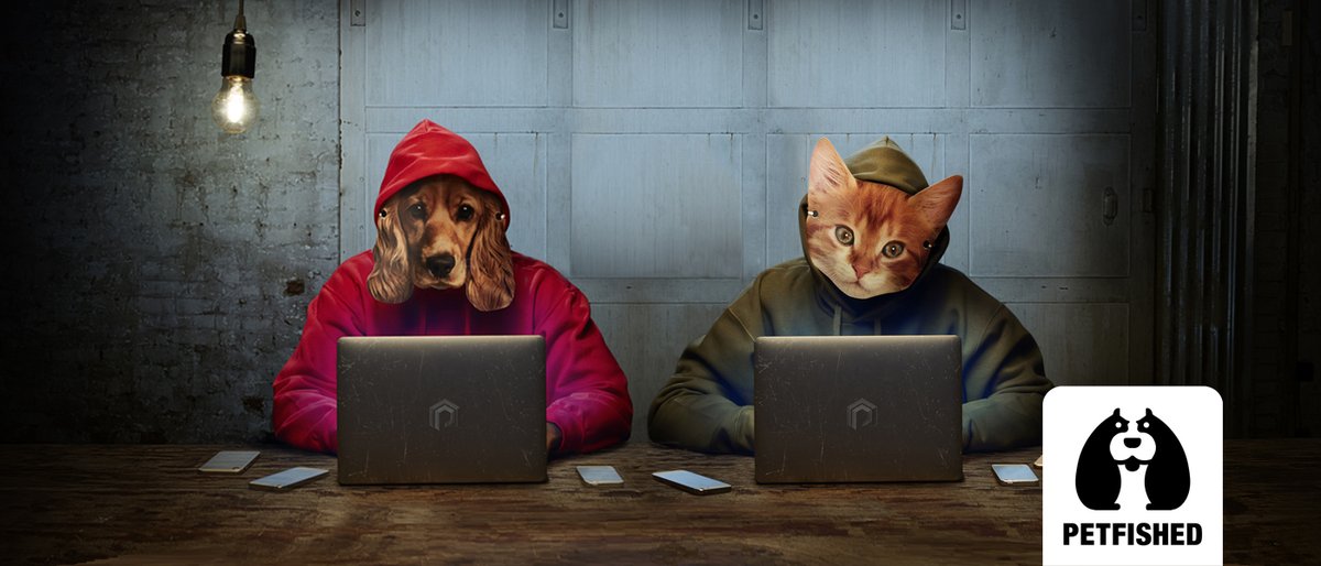 Act4AnimalsEU's tweet photo. 🇬🇧🐶🐱Buying or adopting a #pet is an exciting time. But do you really know the person behind the advert❓🧐
@DefraGovUK launched the #Petfished campaign to help to end the cruel practices of unscrupulous #breeders➡️https://t.co/K2kEojrATG
#Act4Pets #IllegalPetTrade https://t.co/tAq1wYVSiG