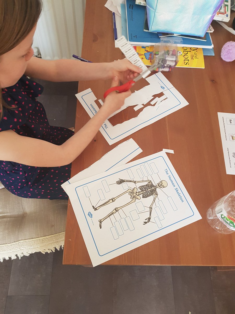 stacej28's tweet photo. Olivia is learning about bones this morning after doing her morning exercise @primaryferndale #ourbody #bones https://t.co/U1hJN8ntP3