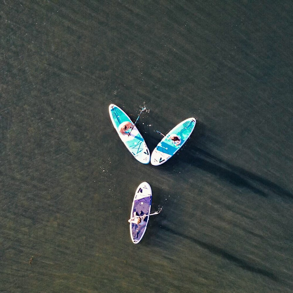 AnonymSup's tweet photo. Paddles en forme de fleur ! 😄 •⁠
•⁠
•⁠
#anonymsup #wearewhatwesurf #sup #isup #supsession #inflatable #gonflable #suplife #suplifestyle #paddle #standuppaddle #paddleboard #chill #goodvibes #drone #lake #sunsetsession #hossegorlake #leslandes #landifornie #france https://t.co/LJwTJ30bN1