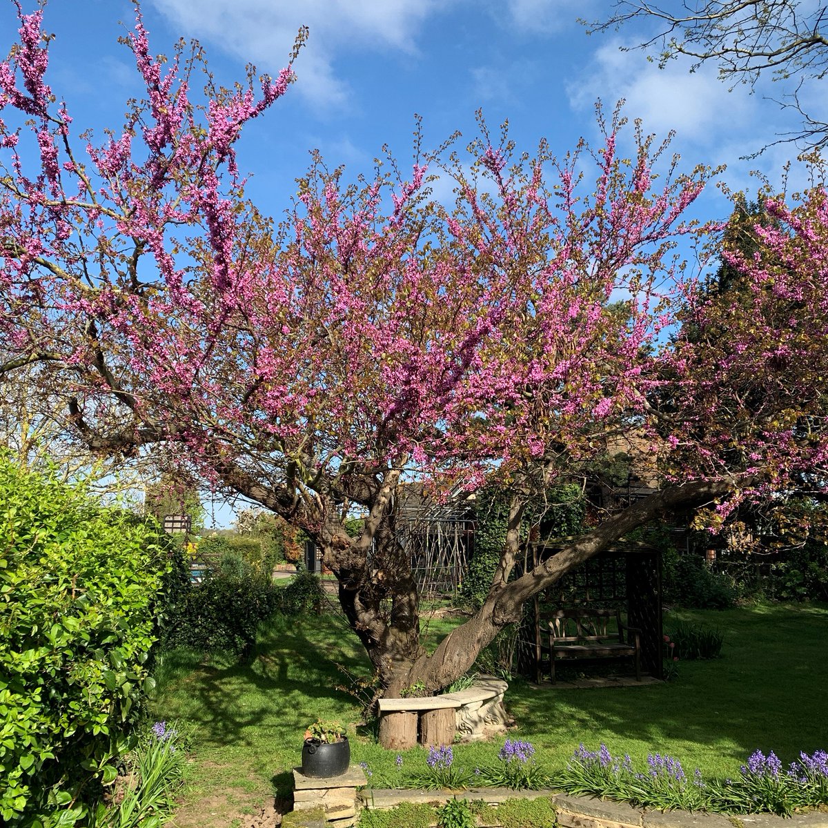 Hempstead House tweet media