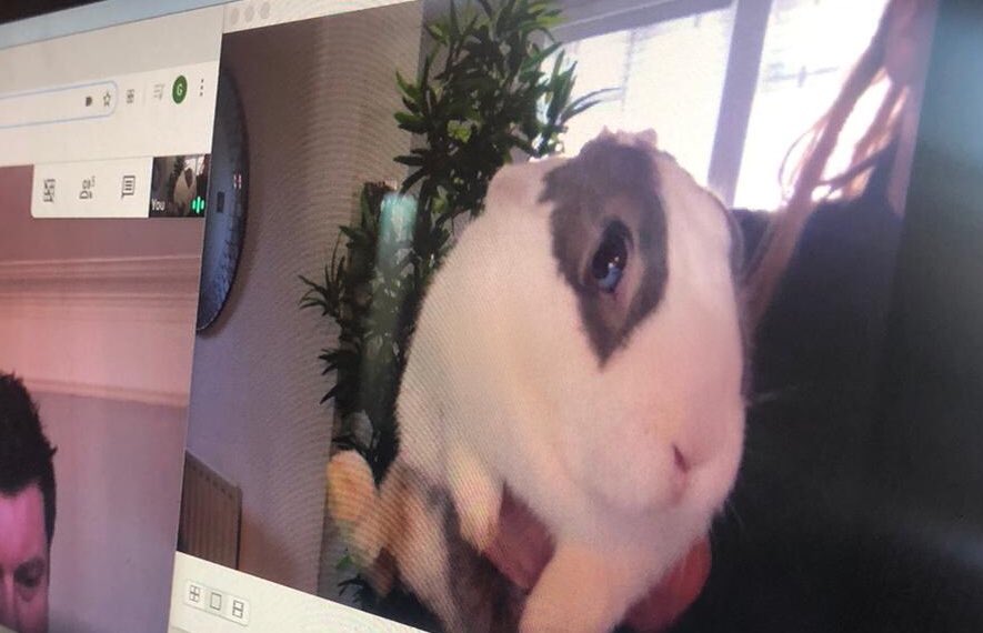 Bodhi made his conference debut this morning