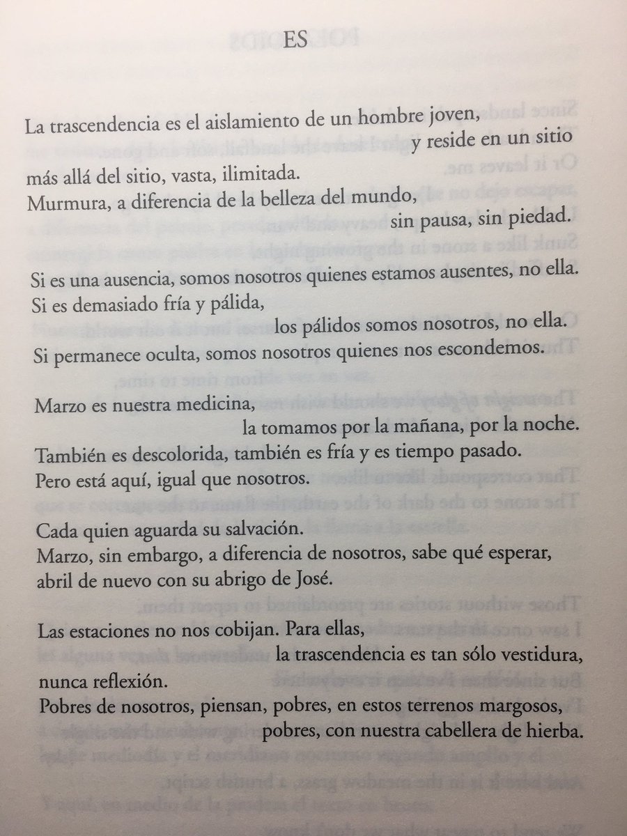 Vuelo7988's tweet photo. #CoronaVersos #PoesiaEnCasa “La trascendencia es el aislamiento de un hombre joven, y reside en un sitio más allá del sitio...” #CharlesWright Es, De Una Breve Historia de la Sombra, 2002 #DVDEdiciones 2009 #PoesíaSobreHojasDeHierba 242 @ElOjoCriticoRNE https://t.co/zqNKdoEGmW