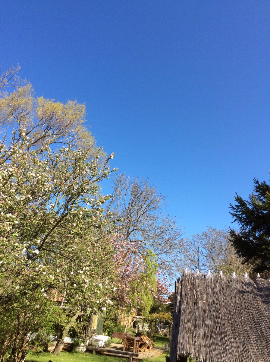 IpsisElli's tweet photo. So blue today and over the past week ❤️ https://t.co/RPylY8oSV0