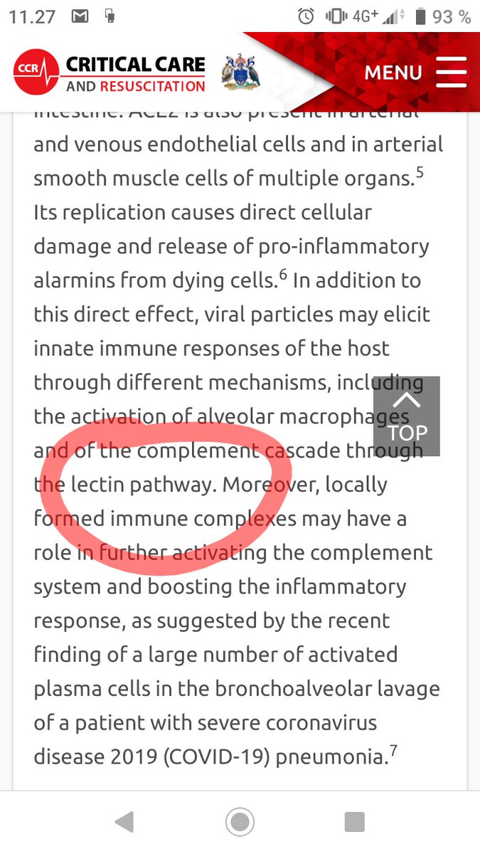 d_kreu's tweet image. #covid19 #endothelialinjury #lectinpathway #microclots #oms721 #Narsoplimab $omer 

ccr.cicm.org.au/supplementary-…