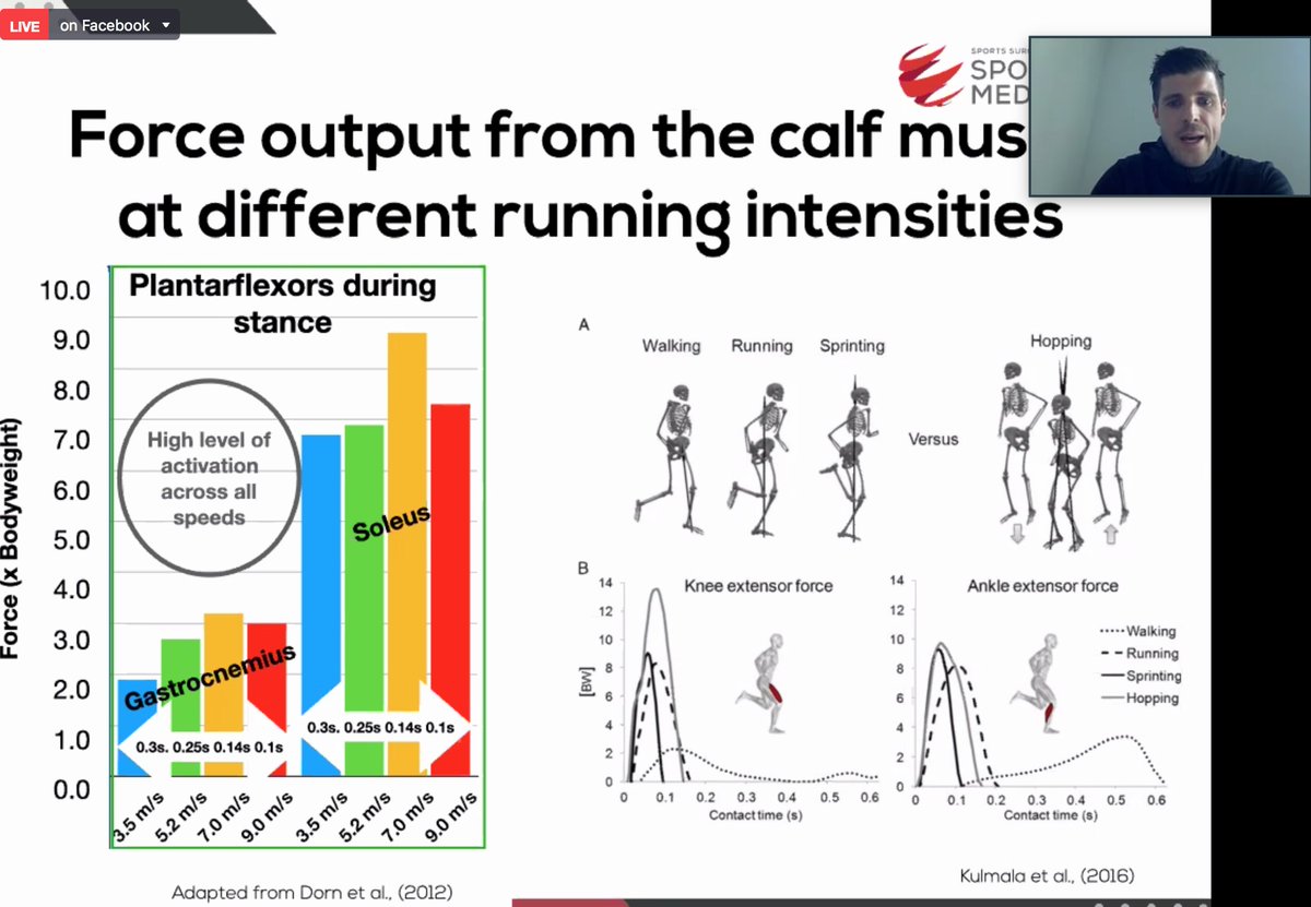 SportsMAP tweet media