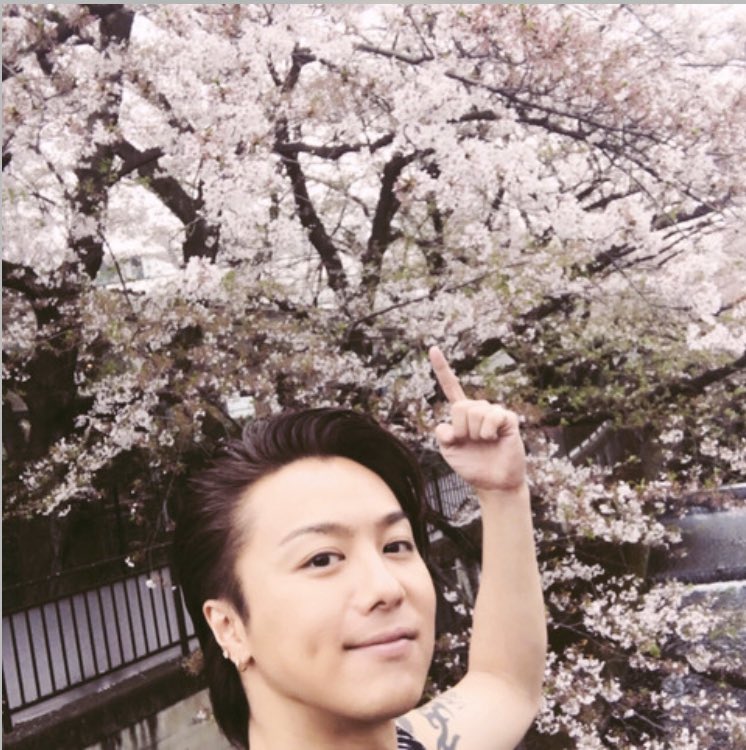 ldhextsk's tweet photo. 今年は真面に花見出来なかったな…

#来年こそは
#満開の桜の下で
#花見 https://t.co/KhSj6Ngg7P