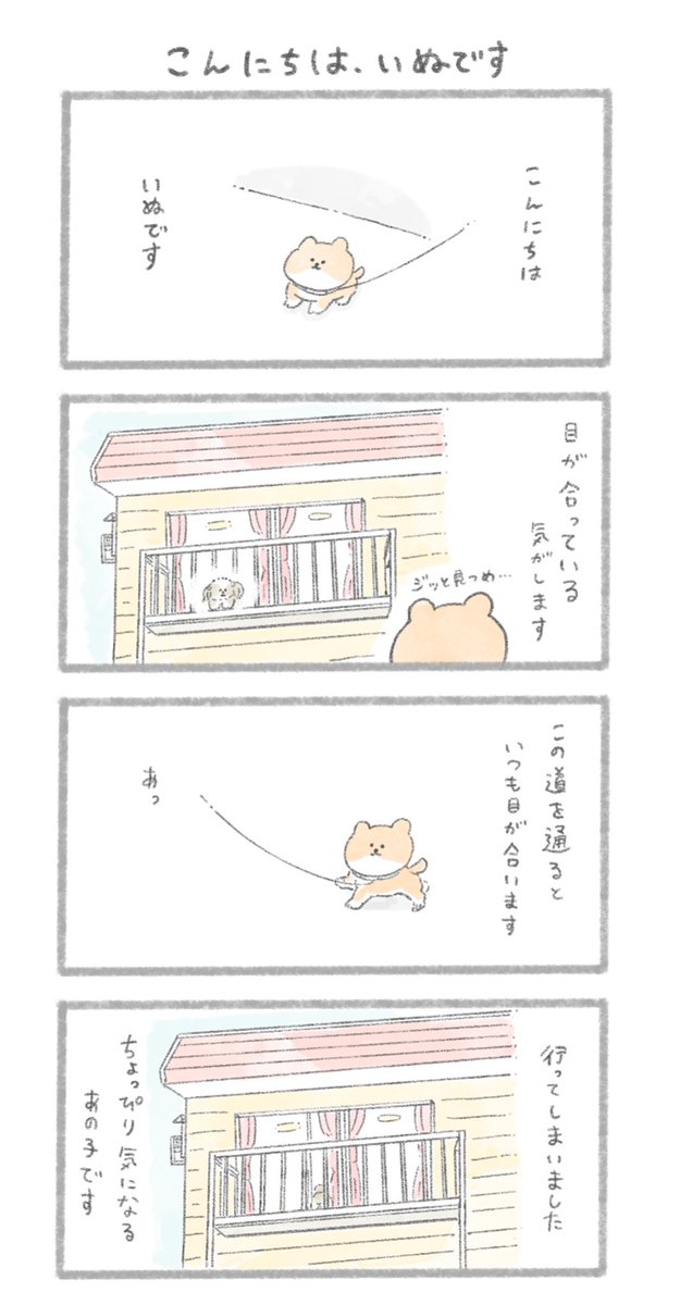 こんにちは、いぬです
#こんにちはいぬ 