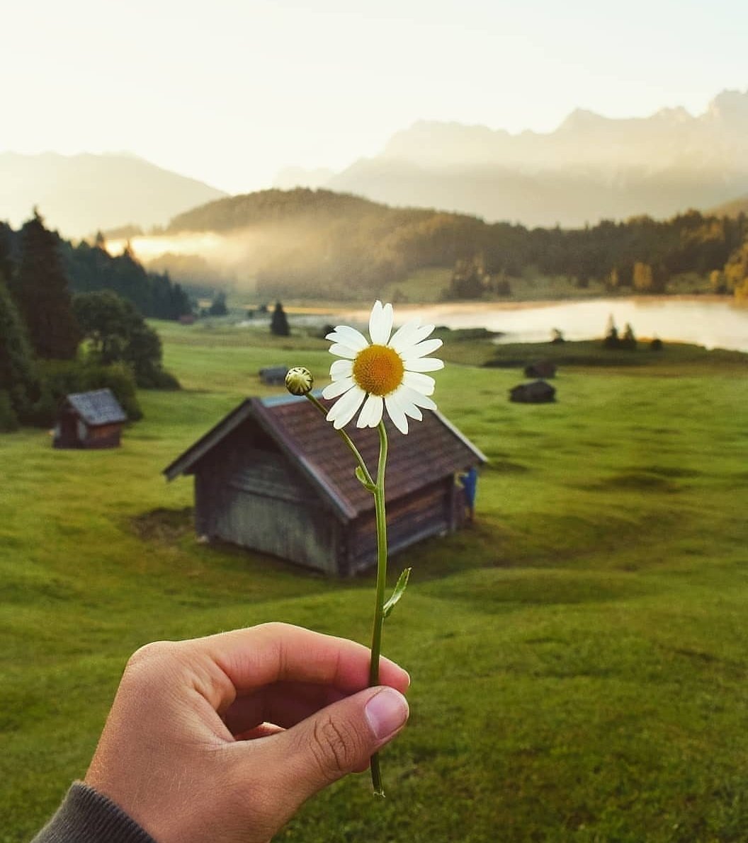 I per ajudar als guardians de la terra, us proposo comandes directes a Can Blanch, sempre fidels a les muntanyes, ecològics, resilients... Coneixeu en Toti, <a href="/xaiecologic/">Toti</a>? Doncs podem fer que visquin lliures tenint cura de les nostres muntanyes... Us sorprendrà gratament:665650749